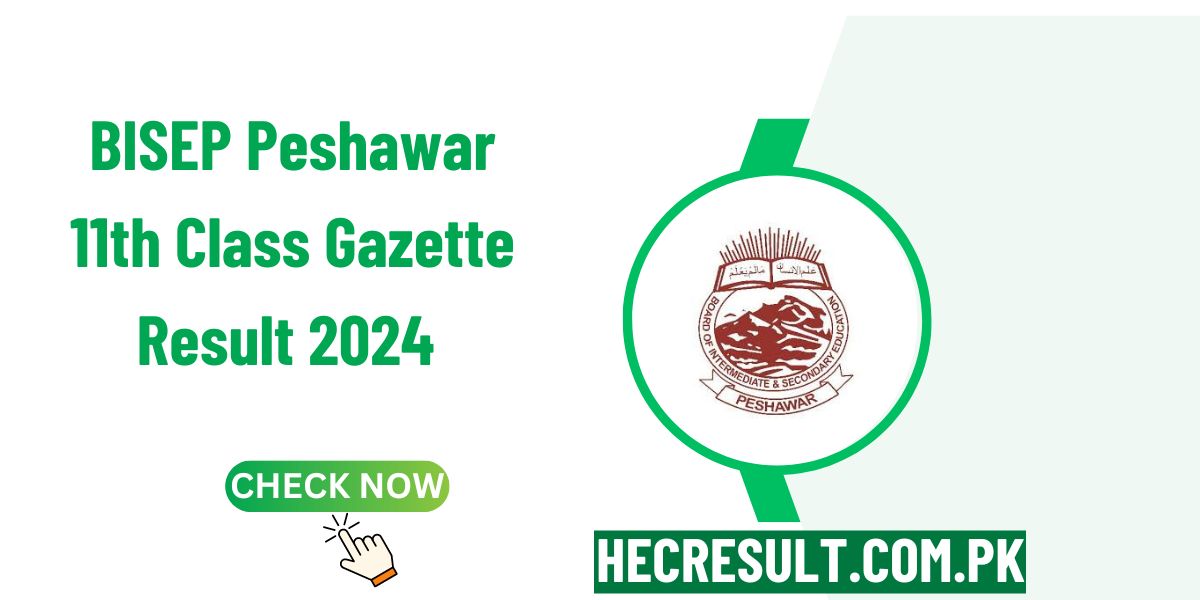 BISEP Peshawar Board 11th Class Gazette Result 2024 [Link Out] HEC Result